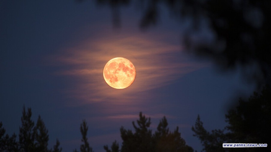 خرافة أم حقيقة؟.. العلم يفكك لغز تأثير القمر على النوم والسلوك